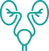 Urology